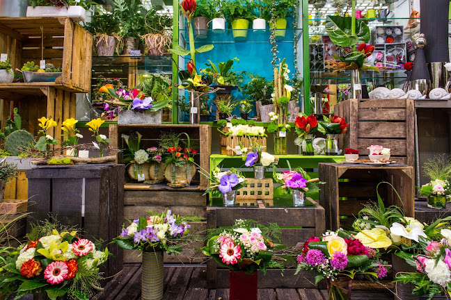 Heures d'ouverture de Abélia Fleuriste Lorient