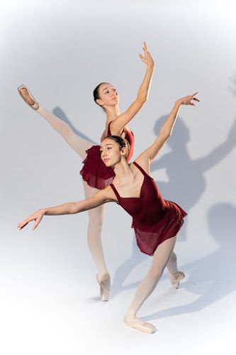 youngdancersacademy.com
