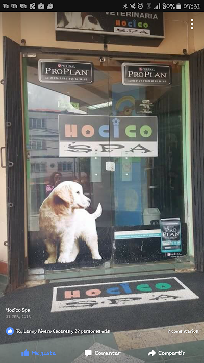 Photos of Hocico Spa