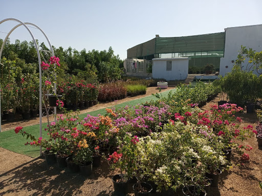 Welcome Event: Plants starts at AED 1 only.