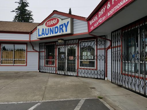 Terra Laundry - Visual