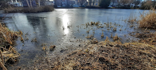 Eisweiher Villingen - Thumbnail