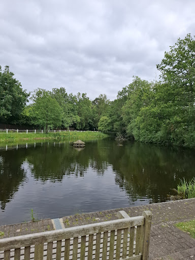 Townsend Pond - Visual
