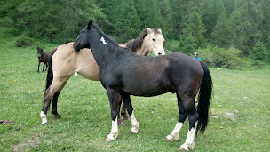 Photo n°12 de Le Kiowah à Les Orres (Centre équestre)