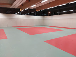 Photo n°5 de Club de Judo Jujitsu de Duppigheim à Duppigheim (Club de judo)