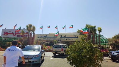 Photos of ALSHAHEEN NURSERY