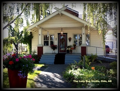 The Lady Bug Studio - Visual