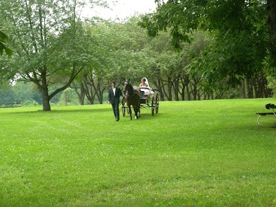 Photos of Martha's Orchard
