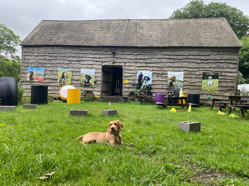 Woodland Classroom - Thumbnail
