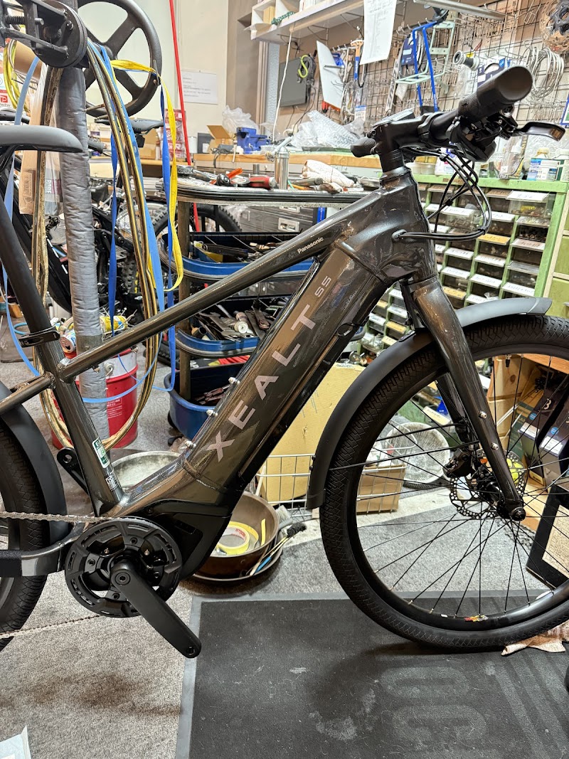 アートサイクルティーエーズ鳳店