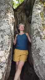 Photo n°8 de A l'EssenCiel shiatsu Laurence CURIEN à Vagney (Centre de bien-être)