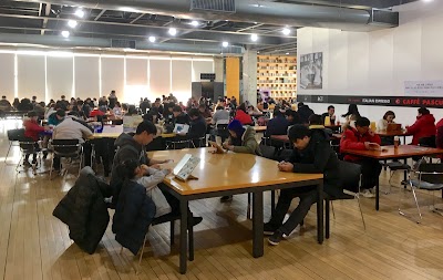 Photos of Forest Wisdom Library
