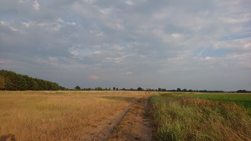 Reitplatz Groß Machnow - Thumbnail
