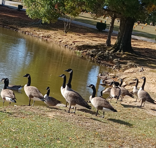 Lancaster Memorial Park Inc - Thumbnail