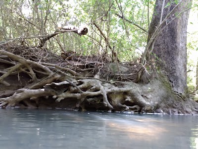 Sulphur Creek Trail