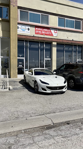 LA Flex - Visual
