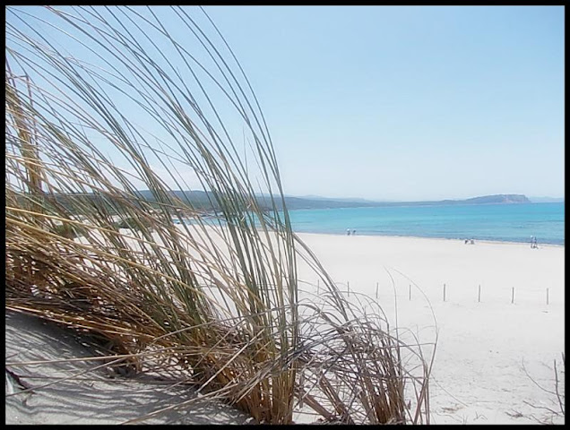 Camping La Liccia by null