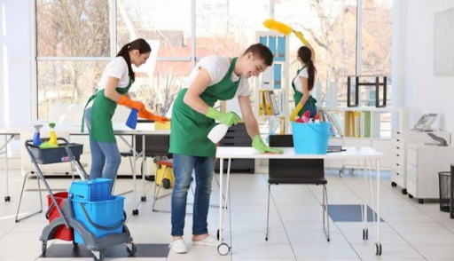 Will Cleaning - Visual