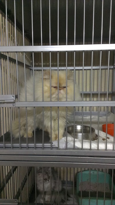 Photos of Cats N' Dogs Vet.clinic