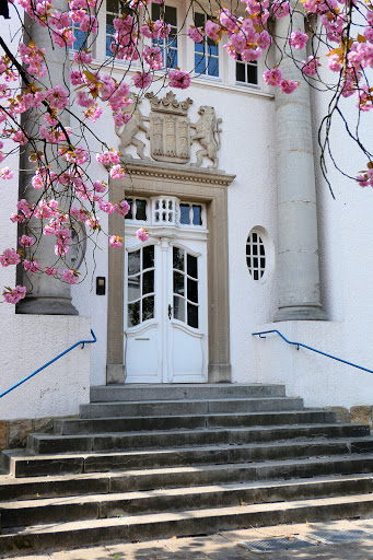 Musikschule des Emslandes e.V. - Thumbnail