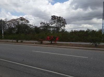 Photos of JUAN DOLIO WHITE GARDEN