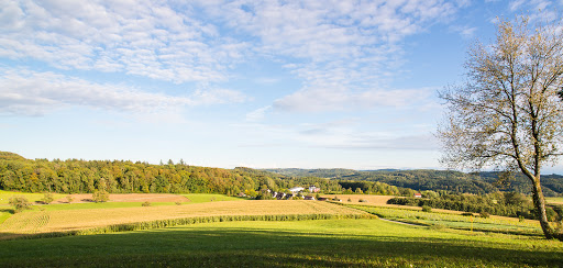 Berlingerweg - Siedlung - Stockach