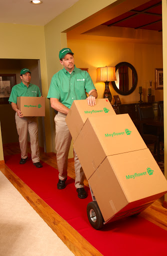 Master Movers - Visual