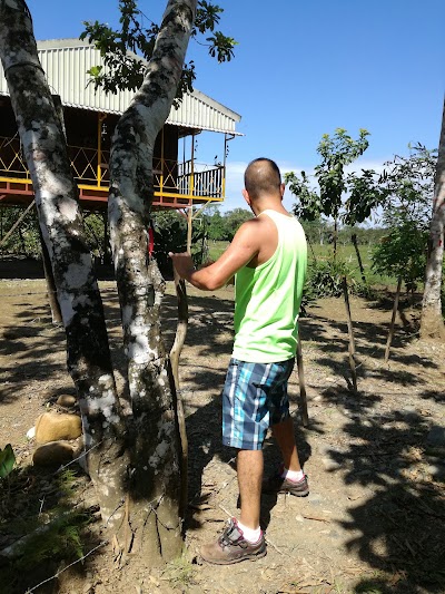 Photos of Las Delicias