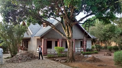Photos of Hotel Okapi Palace