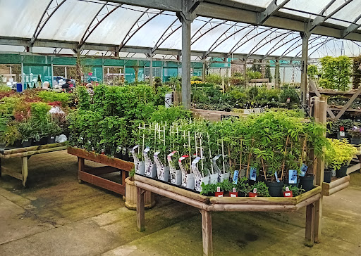 Blackwood Garden Centre - Thumbnail