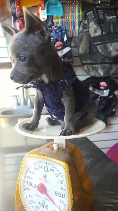 Photos of VETERINARIA ZIP