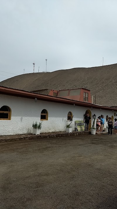 Photos of Restaurant Oveja Negra