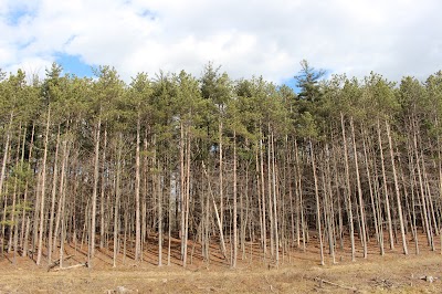 Photos of Findley State Park