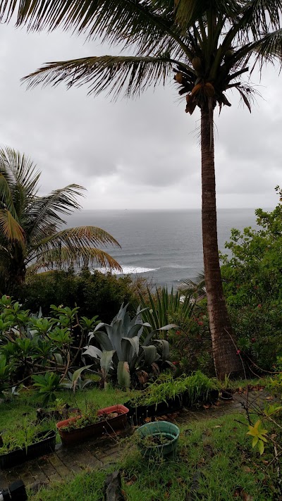 Photos of Almost Paradise Cottages & Restaurant
