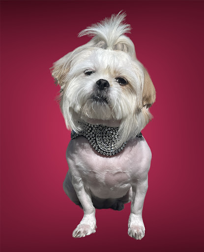 Rhinestone Master Creations Gallery - United States