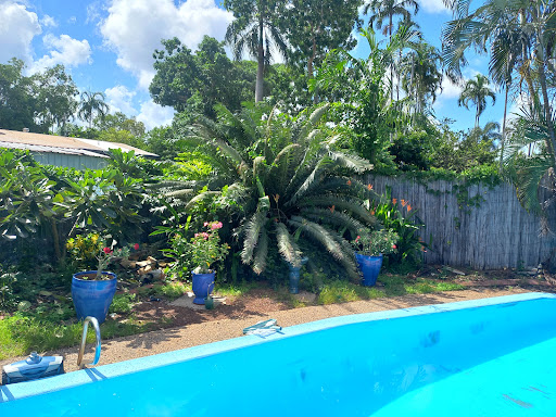 Buckland And Sons Garden Care Maintenance - Thumbnail