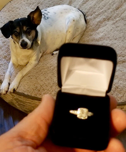 Gold & Diamond International - Thumbnail