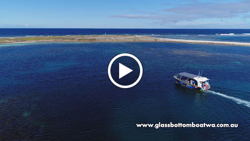 Piatella Glass Bottom Boat Tours Gallery - Australia