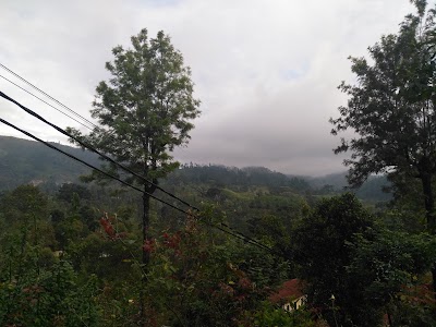 Photos of Kataboola Tea Collecting Center