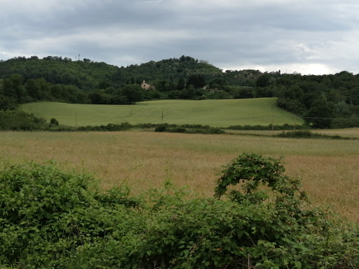 La Ruzza - Visual