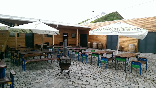 LacertA Winery