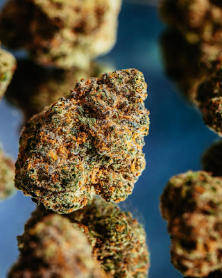 Photo of Mint Cannabis - Jacksonville