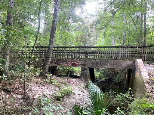 Baldwin Rail Trail - Halsema Trailhead Gallery - United States