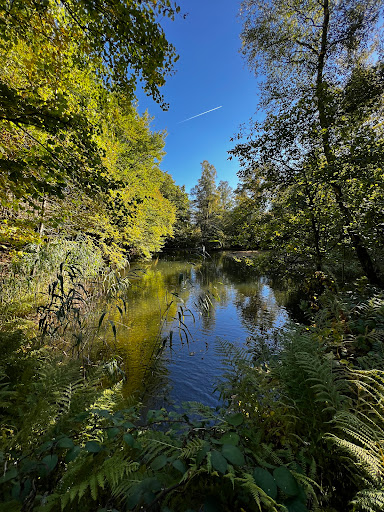 Herzbachweiher - Thumbnail