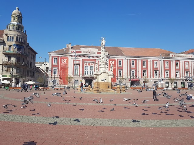 Casa Brück