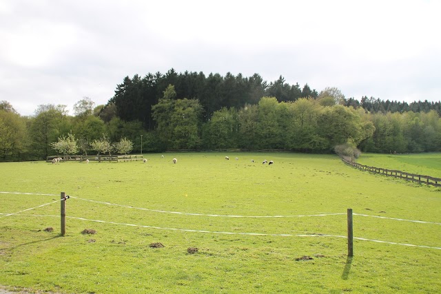 Heimat-Tierpark Olderdissen