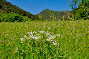 Photo n°27 de Gîtes de Gardoussel § Gardoussel Retreat à Saint-André-de-Valborgne (Centre de yoga)