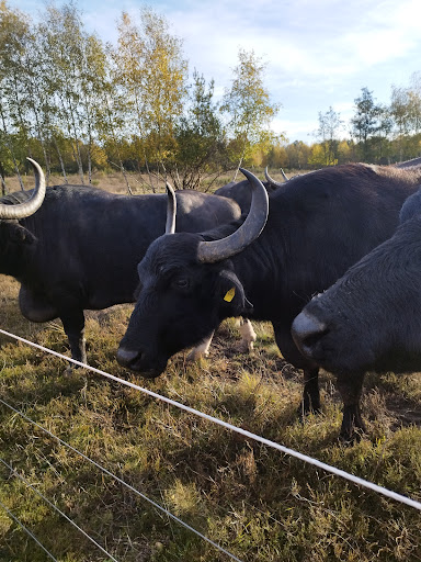 Tongrube - Thumbnail