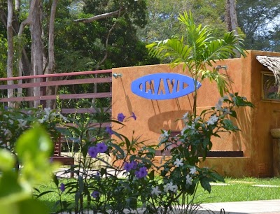 Photos of MAVI Surf Hotel