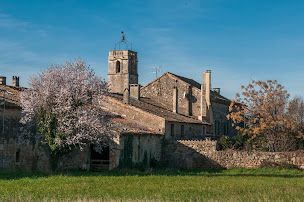Photo n°16 de Mairie de Maussane-les-Alpilles à Maussane-les-Alpilles (Hôtel de ville)
